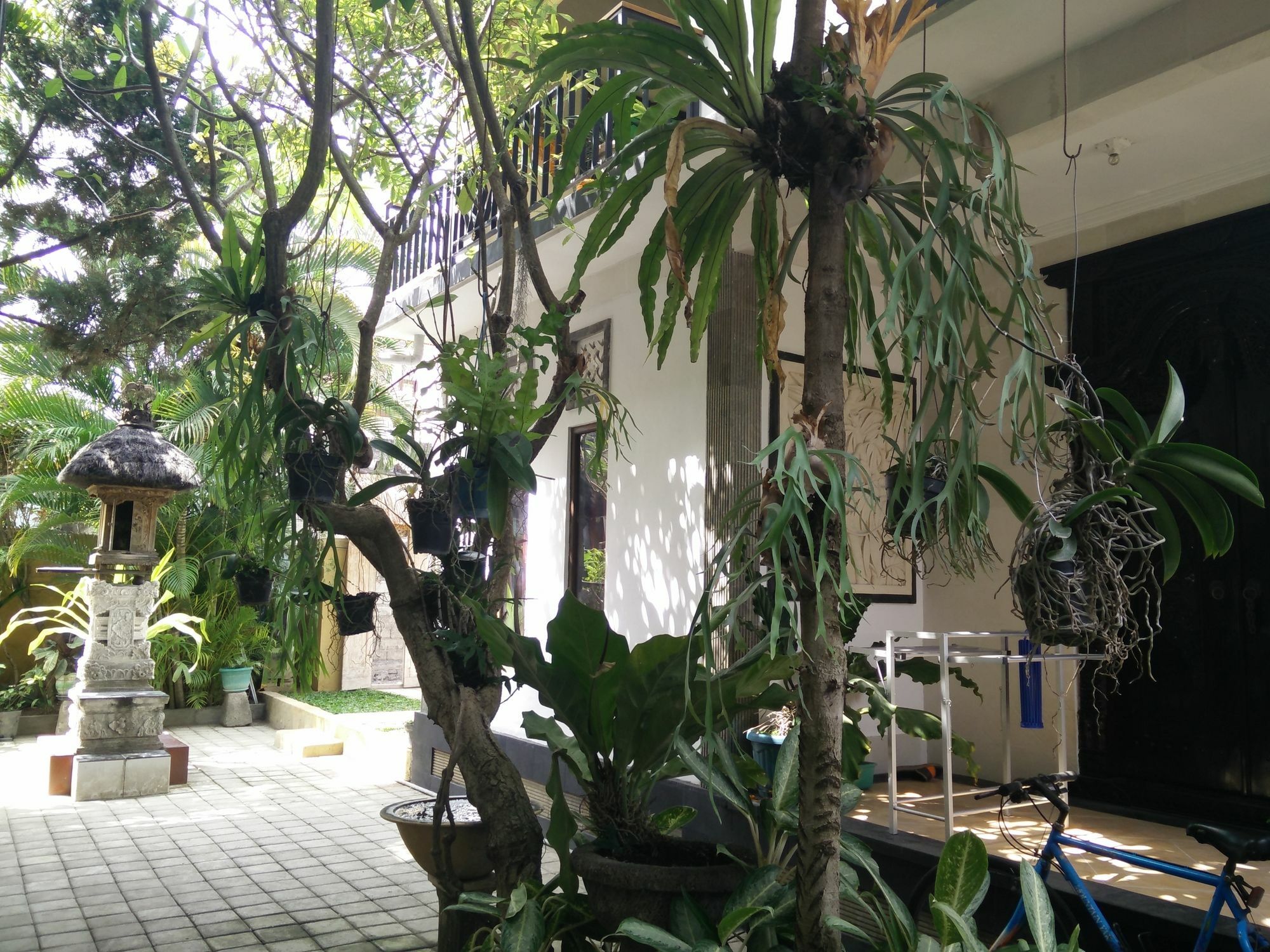 Double N Guesthouse Sanur Eksteriør bilde